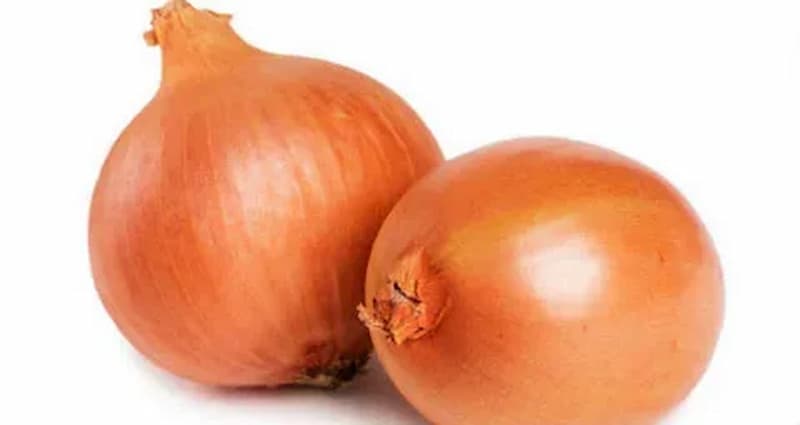 تصویر 2 از پیاز قهوه‌ ای با پوسته مقاوم و ترد مناسب سرخ کردن